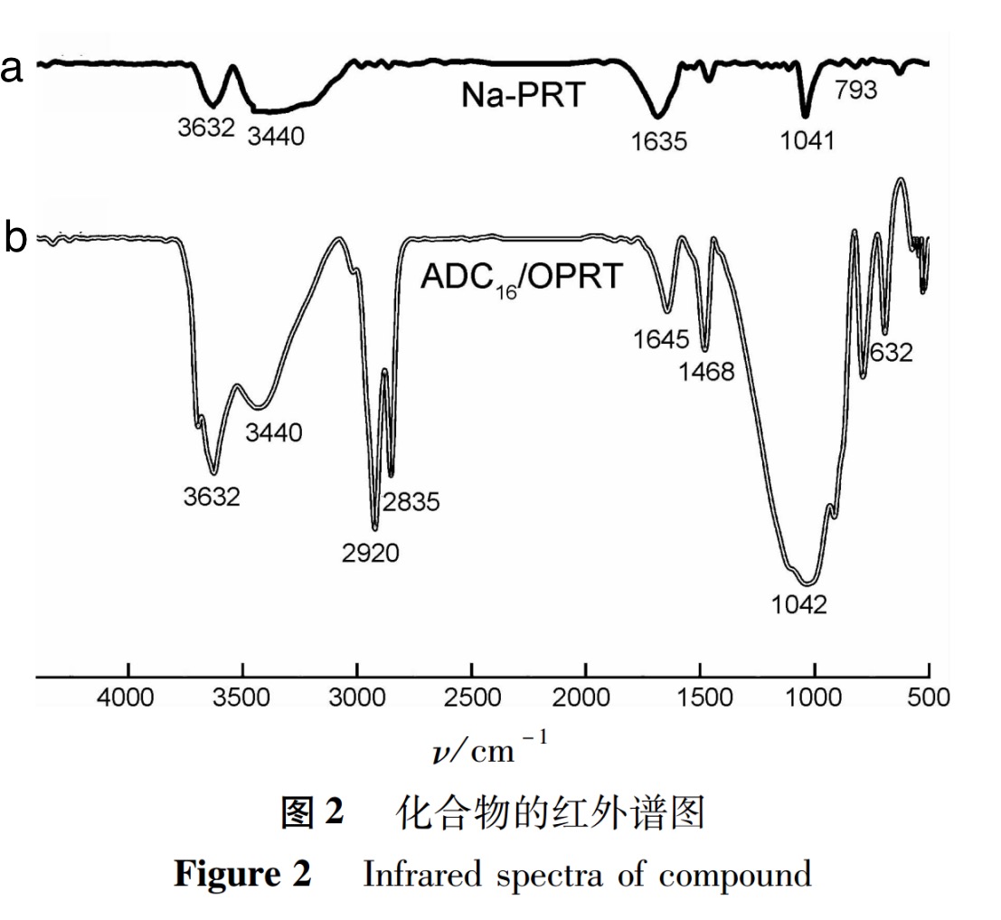 Fig 2 图2.jpg